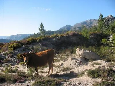 Casa Eiro *